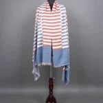 Multi Colour Pashmina Shawl